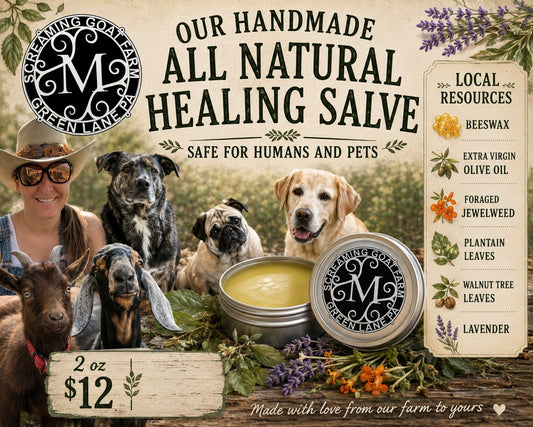 All Natural Healing Salve for Humans and Pets