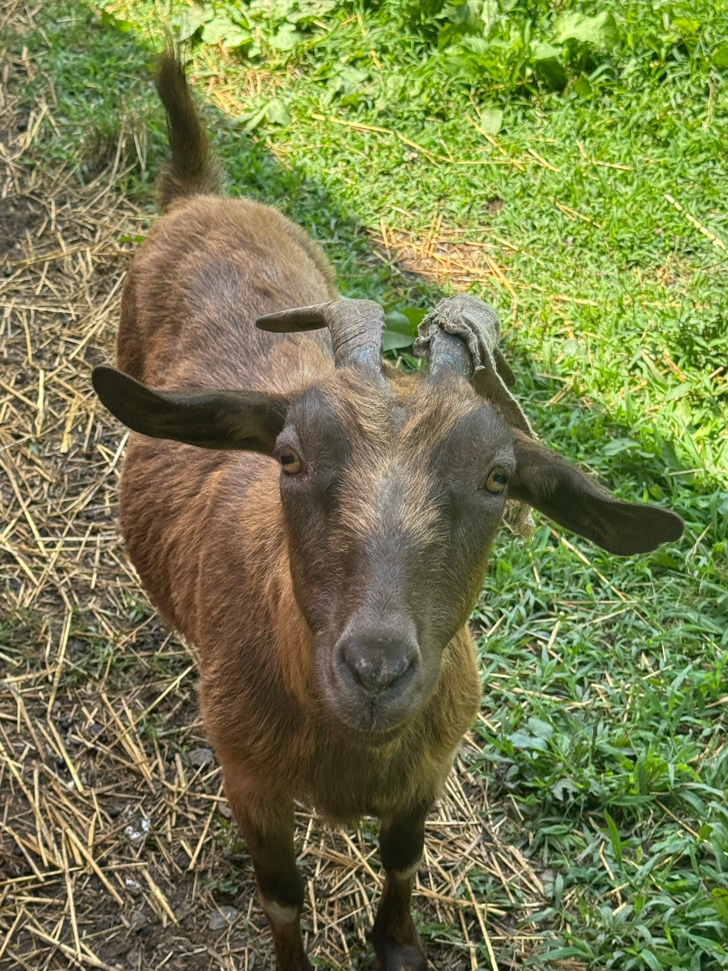 Itch Relief